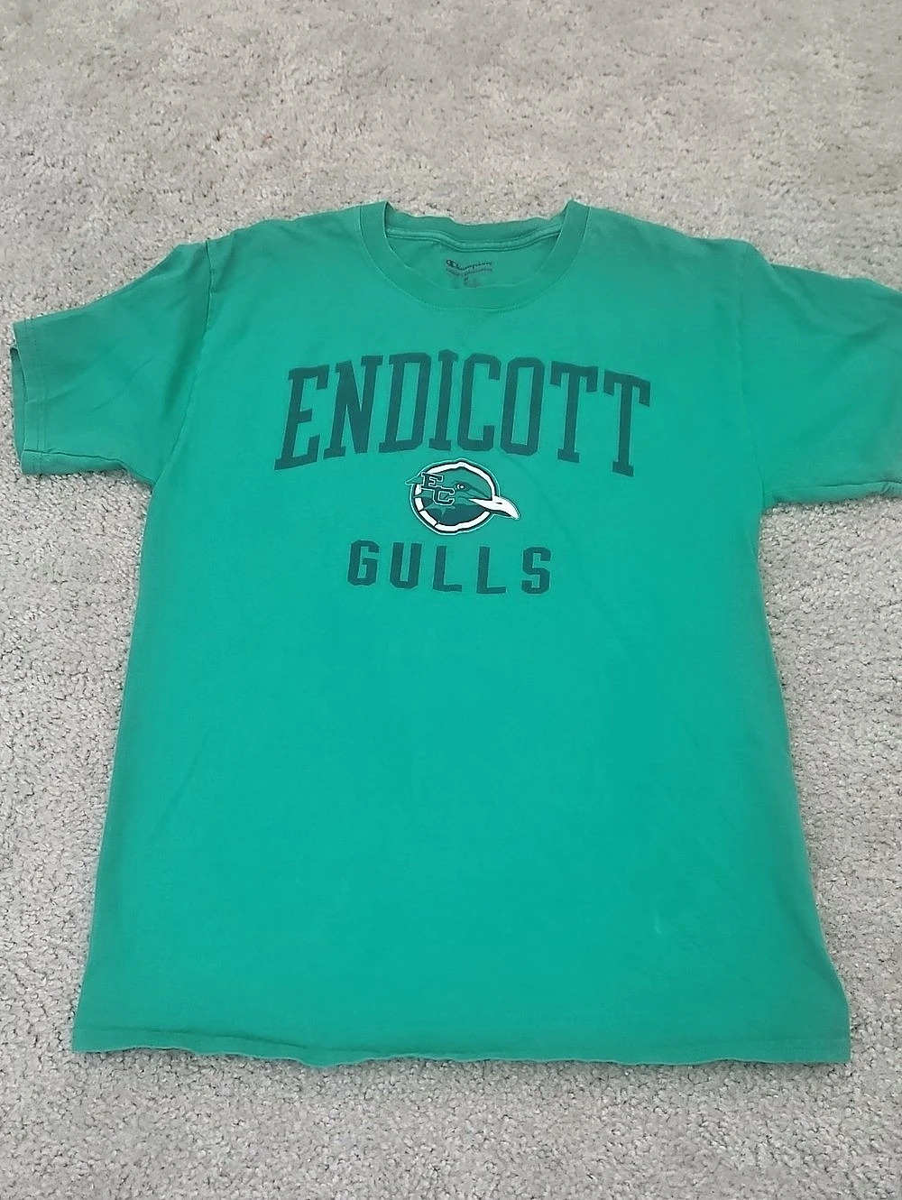 Champion Endicott College Gulls Graphic T-Shirt Green Medium